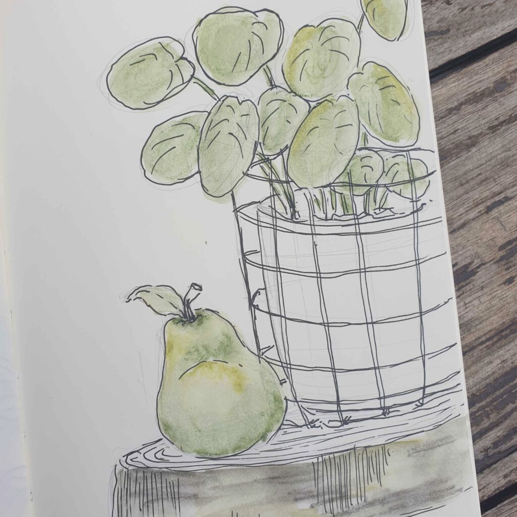 Sketchbook-pilea-pear