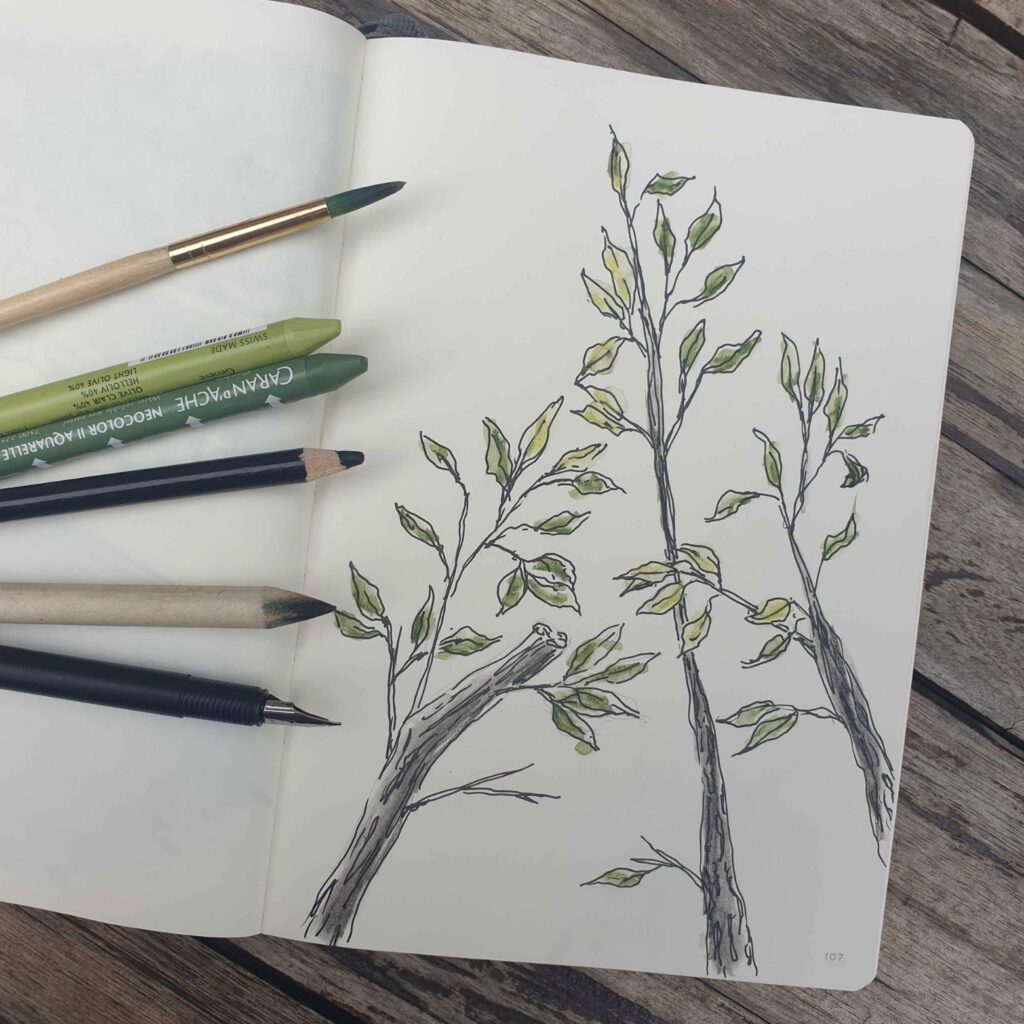 Sketchbook-twigs-1